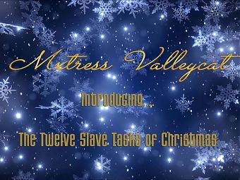 Introducing... the 12 slave tasks of Christmas